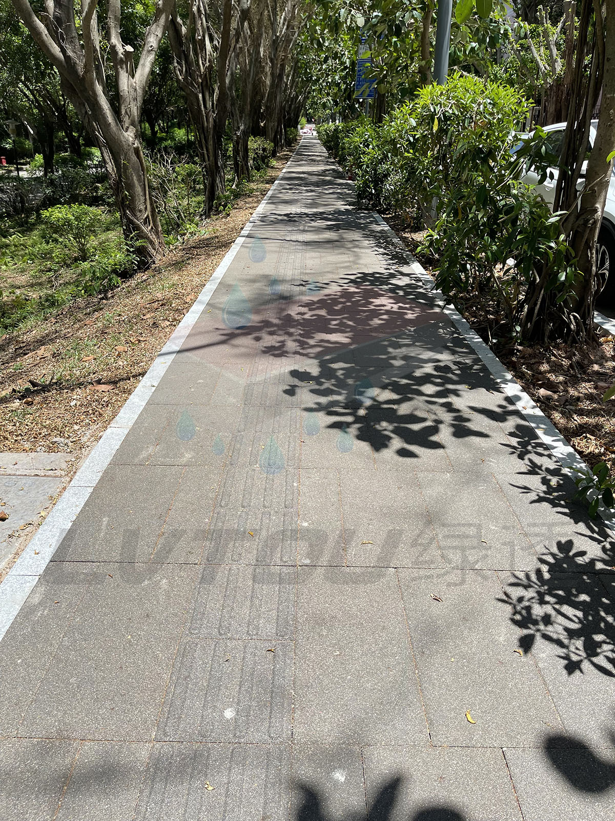 深圳福田竹子林三路